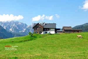 武漢去云南的旅游團(武漢出發(fā)云南旅游)